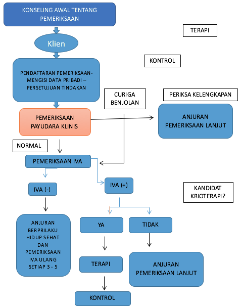 Alur Pemeriksaan IVA