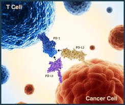 Dostarlimab: Terobosan dalam Pengobatan Kanker